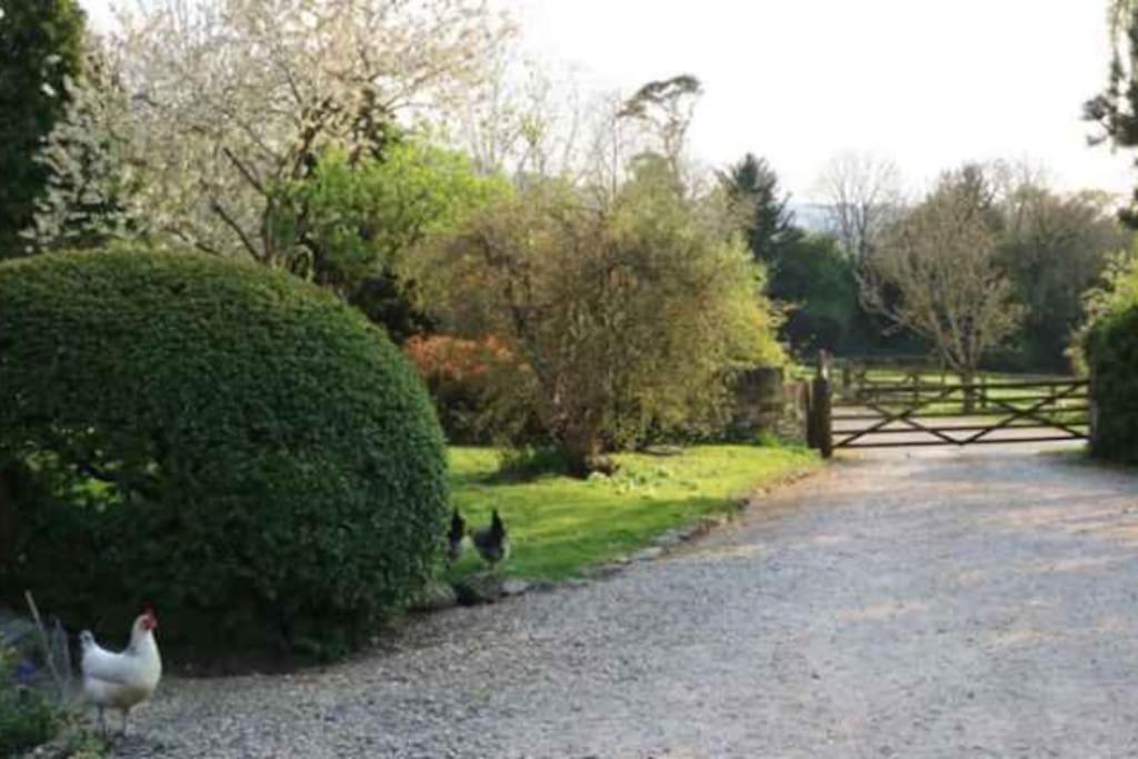 Stunning Stone Cottage On Bath'S Doorstep 博克斯 外观 照片